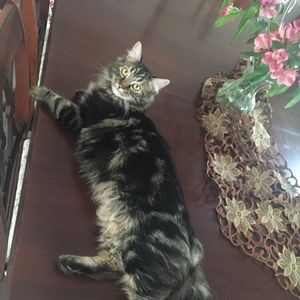 Meet your Posher, Maria